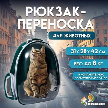 Рюкзак для переноски кошек и собак, проз