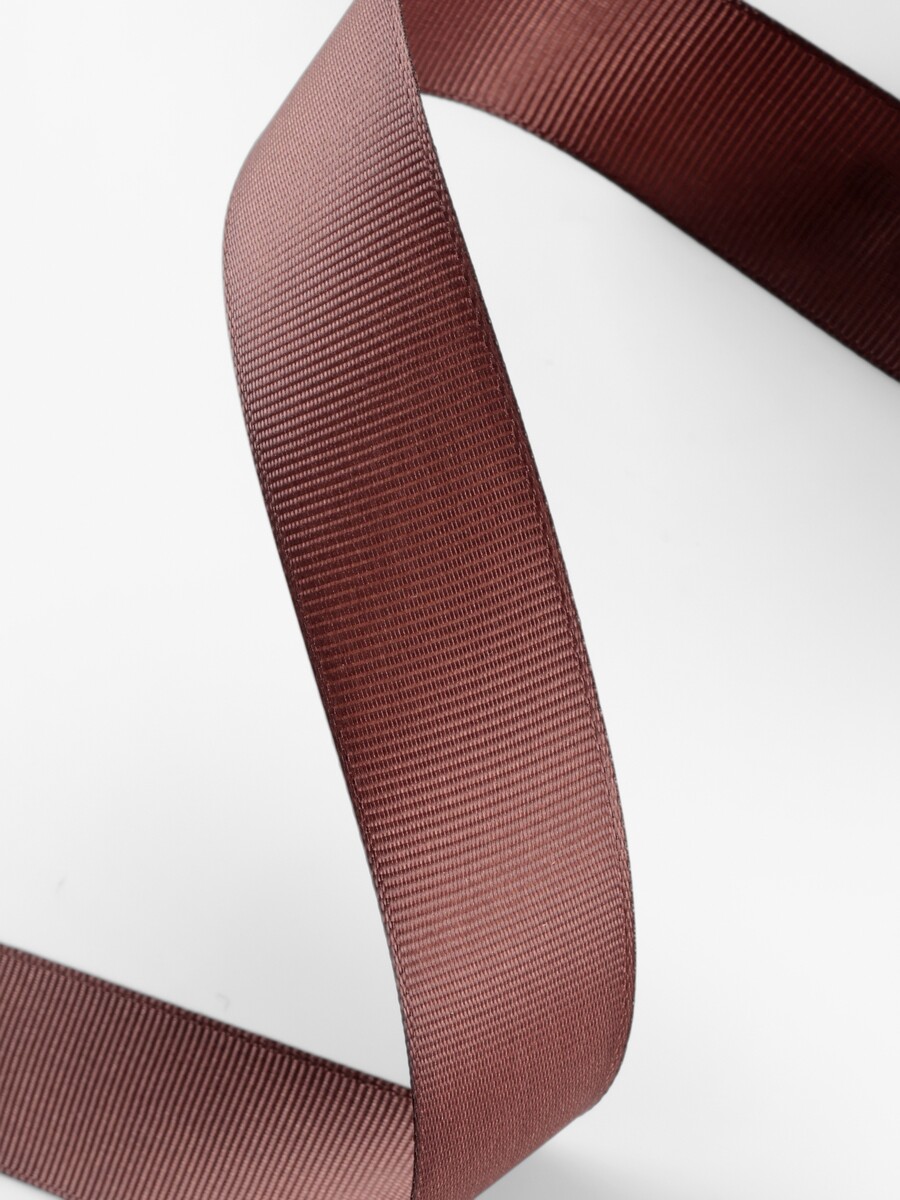 

Лента репсовая, 25 мм, 23 ± 1 м, цвет шоколадный №31, Коричневый