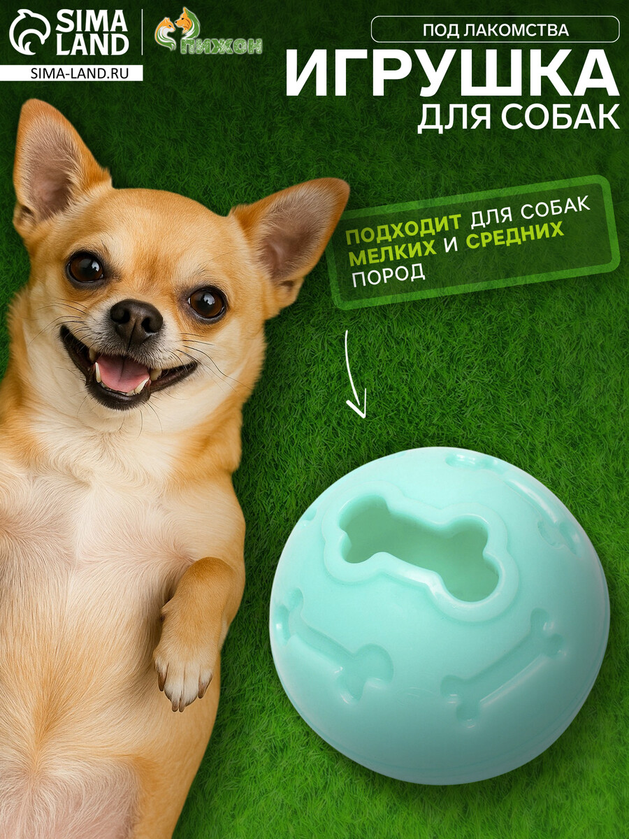 

Мяч под лакомства, утолщенный tpr, 7 см, бирюзовый