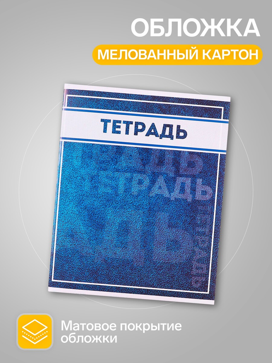 

Комплект тетрадей, 48 листов в клетку calligrata, Разноцветный