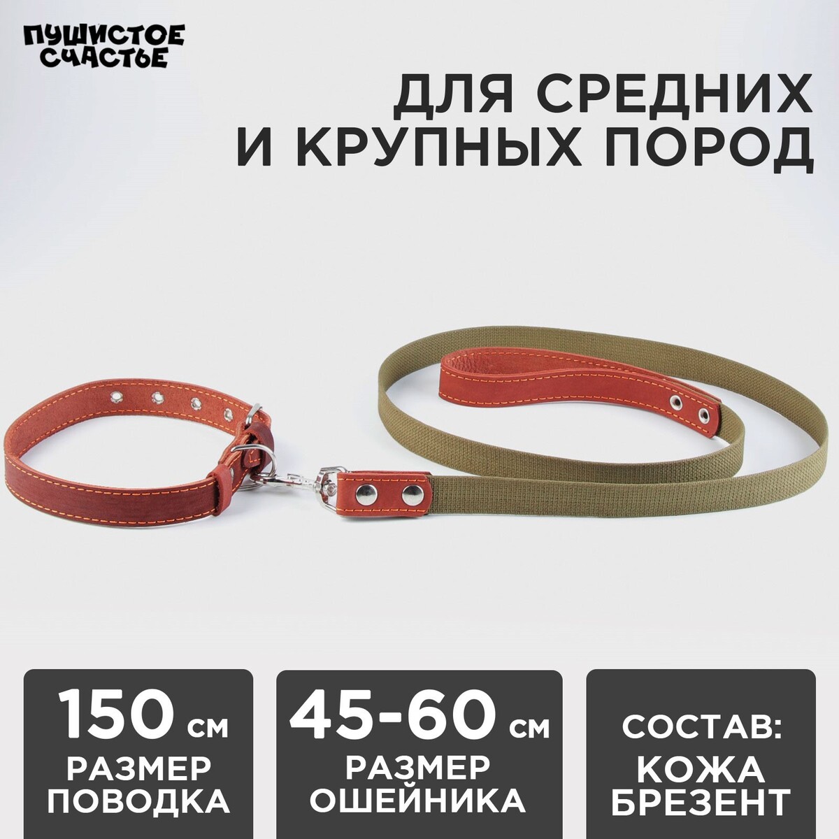 

Комплект : ошейник (45-60х2.5 см) кожаный и поводок (150х2.5 см) брезентовый, цвет бежевый