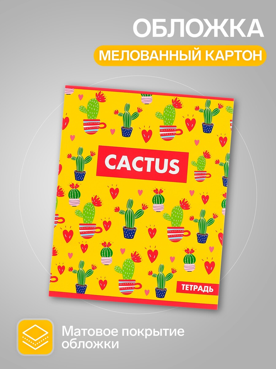 

Набор тетрадей calligrata, Разноцветный;микс