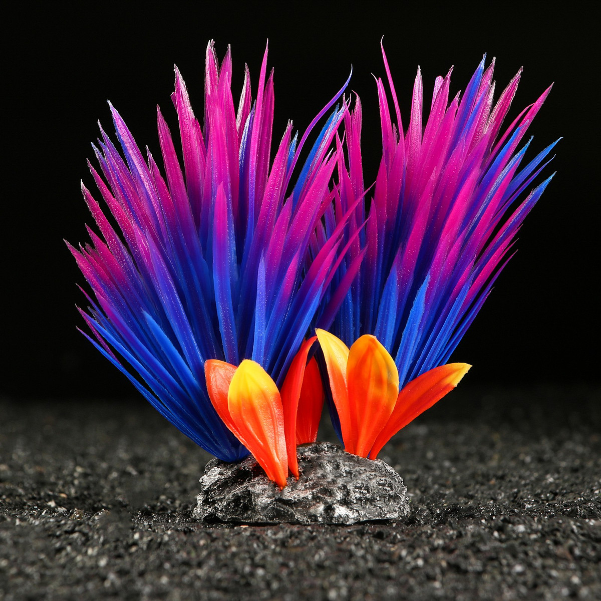 

Растение для аквариума и террариума, 18×10×11.5 см, красно-фиолетовый, Красный;фиолетовый