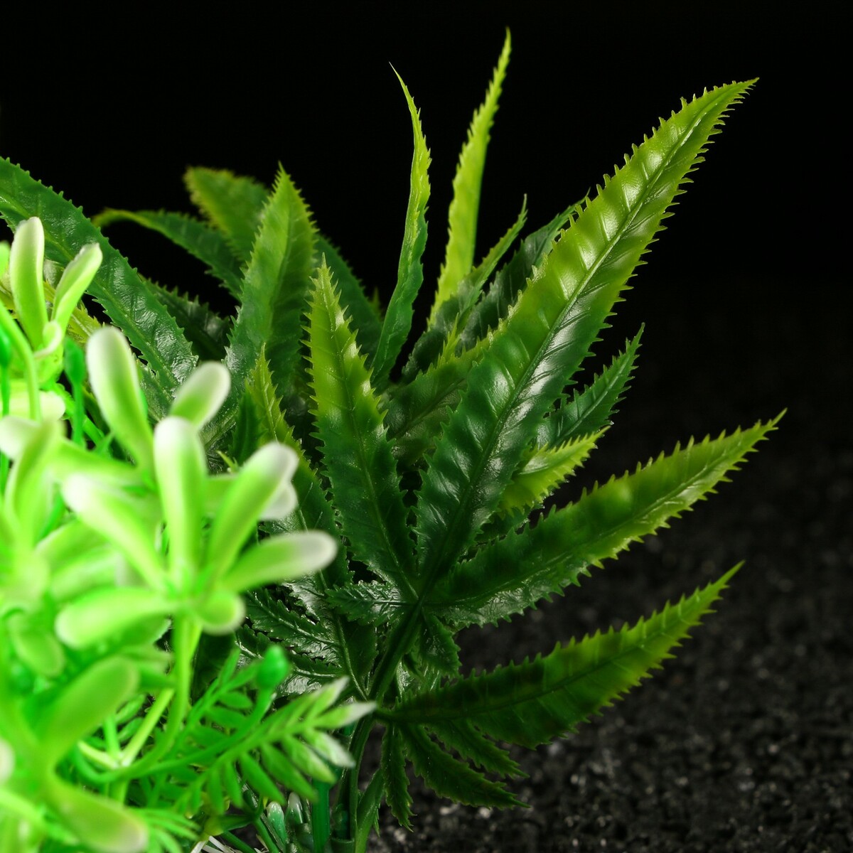 Цветок аква. Искусственные аквариумные растения. Аква растения фото. Растение искусственное аквариумное, 20 х 14 см пижон Аква. Растение искусственное аквариумное, до 28 см пижон Аква.