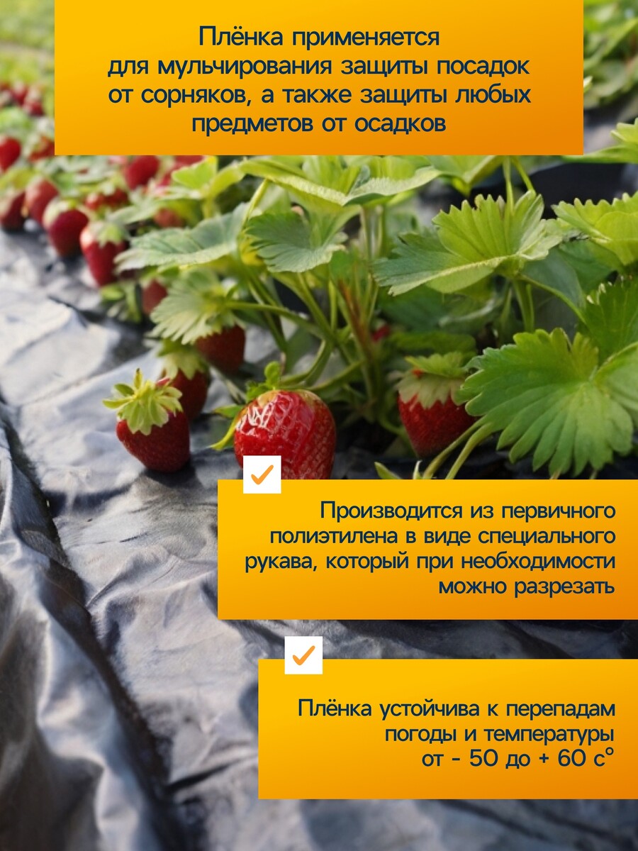 

Пленка полиэтиленовая, техническая, 80 мкм, черная, длина 10 м, ширина 3 м, рукав (1.5 м×2), эконом 50%, greengo, Черный