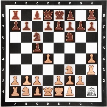 Демонстрационные шахматы 60 х 60 см