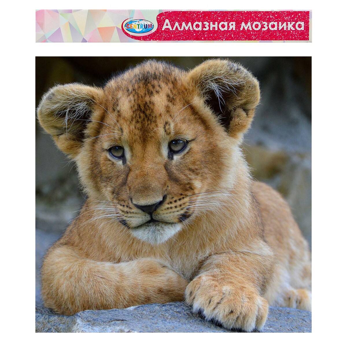 

Алмазная мозаика без подрамника, частичное заполнение