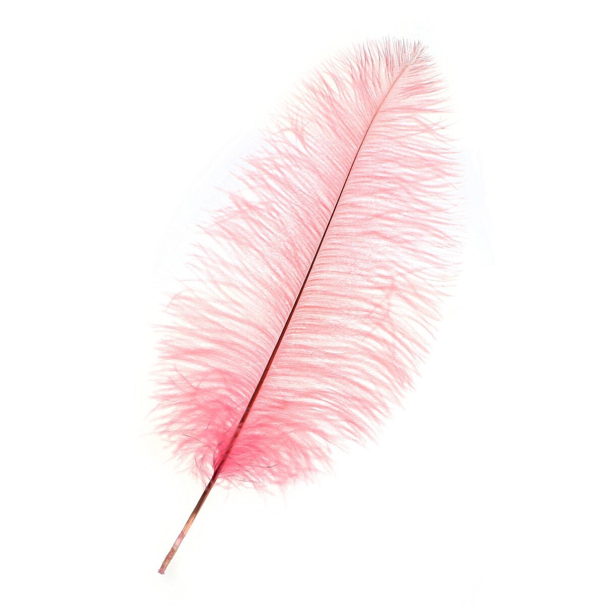 Перо для декора, длина: от 45 до 50 см, цвет розовый перо для декора длина от 45 до 60 см горчичный
