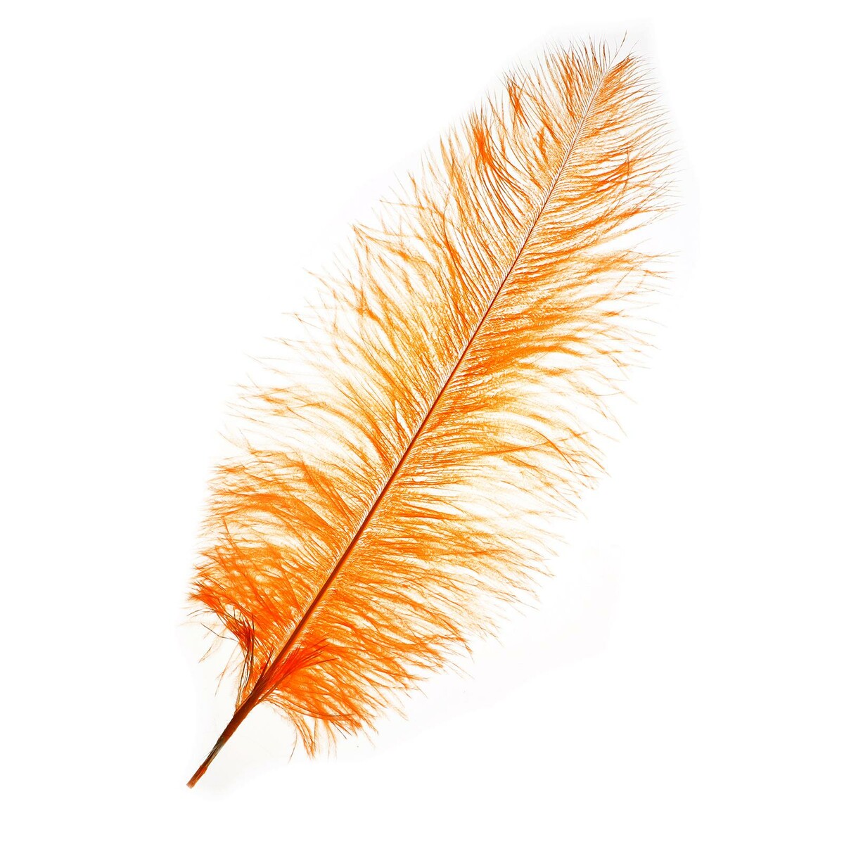 Перо для декора, длина: от 45 до 50 см, цвет персиковый перо для декора длина от 45 до 50 см изумрудный