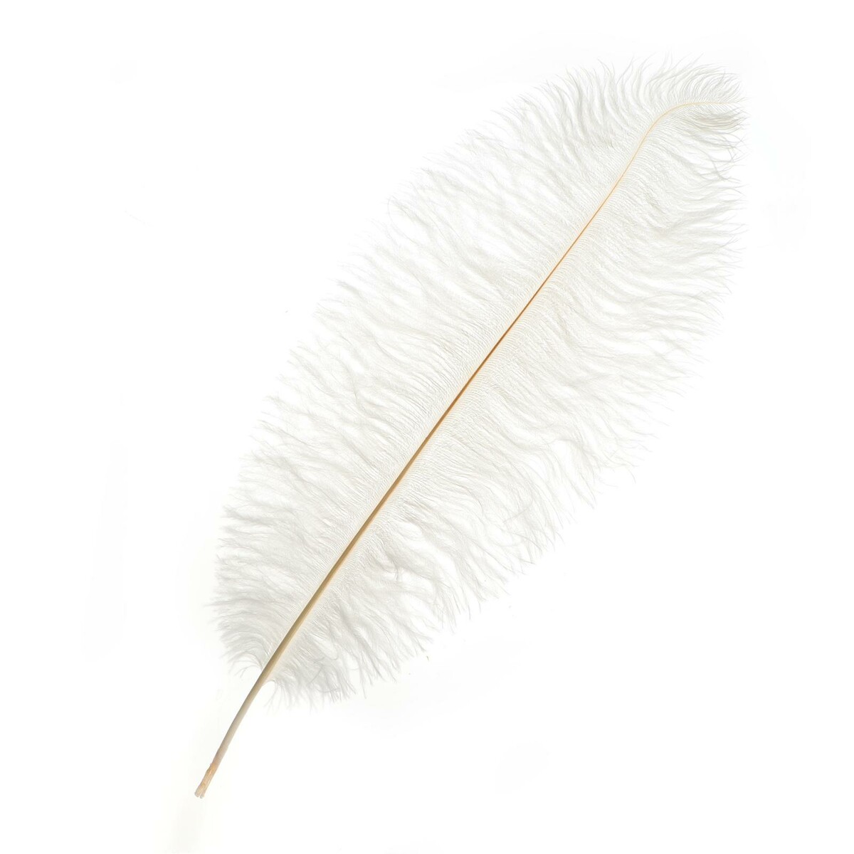 Перо для декора, длина: от 45 до 50 см, цвет белый перо страуса 30 35 см белый