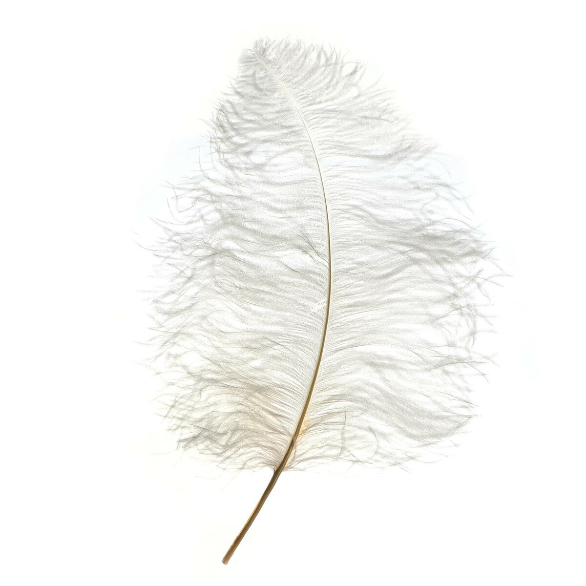 Перо для декора, длина: от 45 до 60 см, цвет белый перо страуса 30 35 см белый