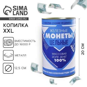 Копилка xxl Сима-ленд