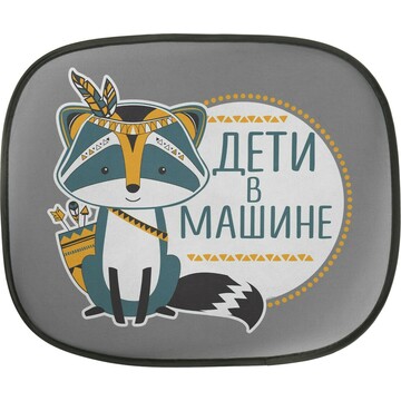 Шторки на боковое стекло