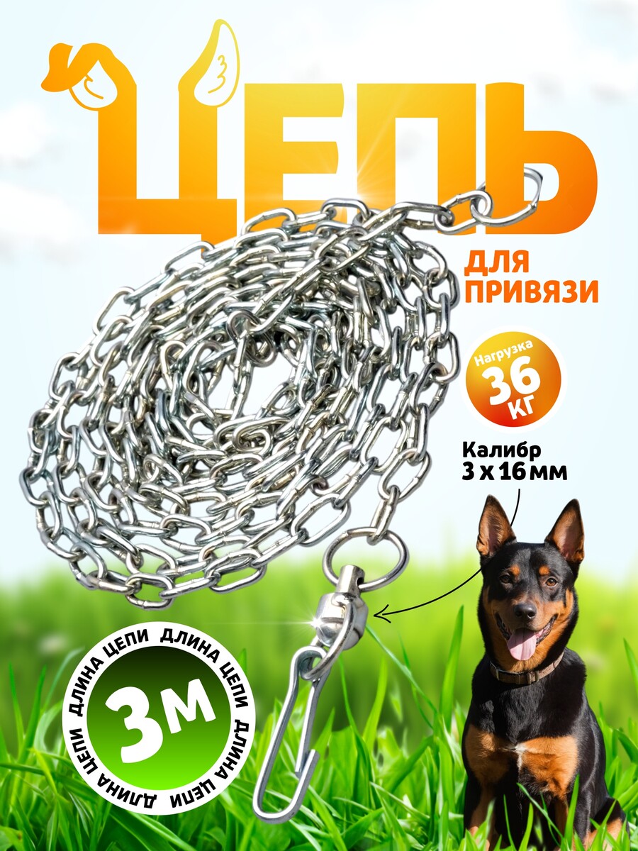 

Цепь для привязи собак, 3 м, калибр 3 х 16 мм, белая, Белый