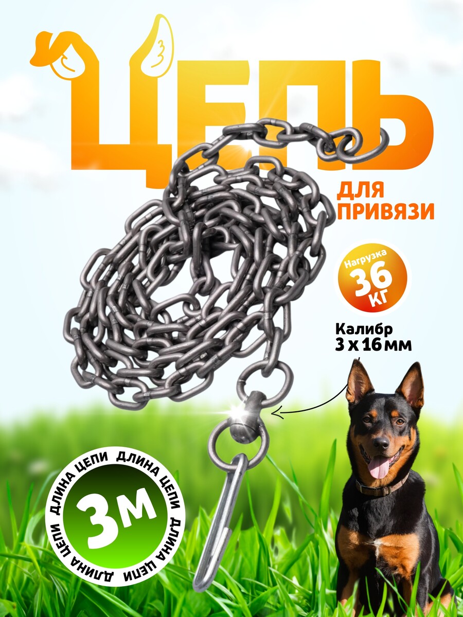 

Цепь для привязи собак, 3 м, калибр 3 х 16 мм, черная, Черный
