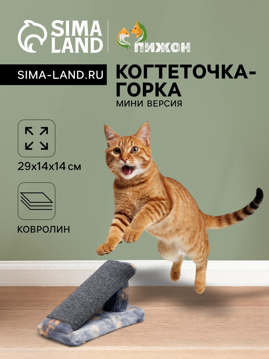 

Когтеточка, Серый