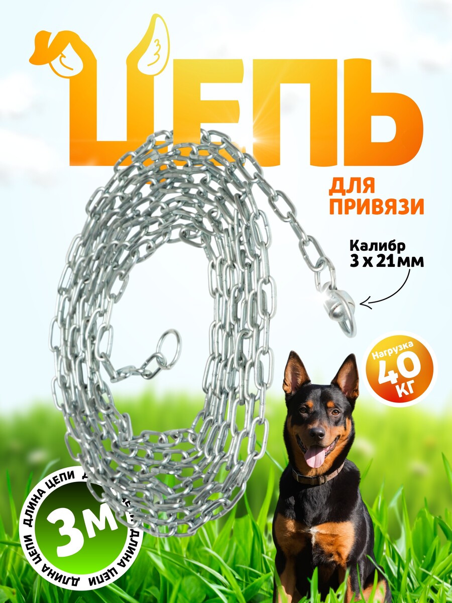 

Цепь для привязи собак, 5 м, калибр 3 х 21 мм, белая, Белый