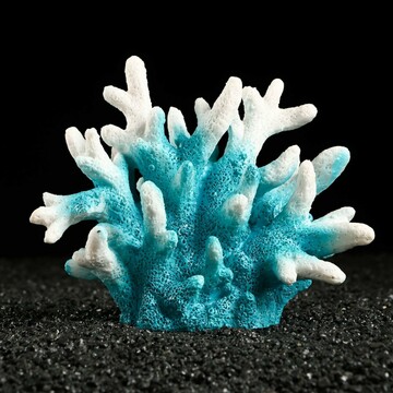 Декоративный коралл