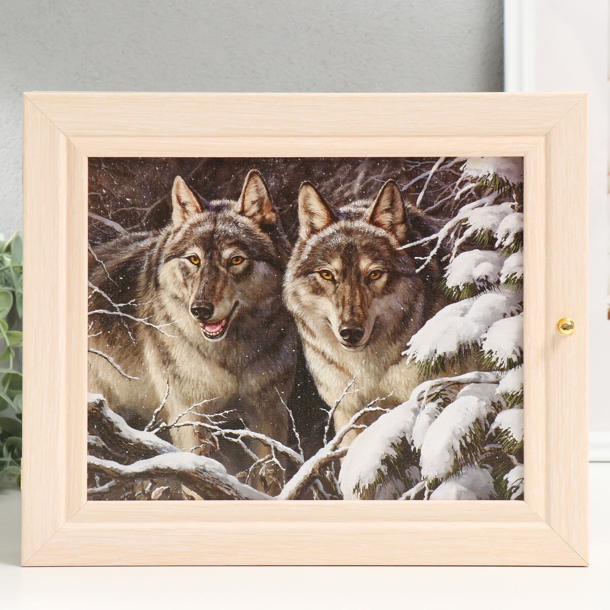 

Ключница, Разноцветный