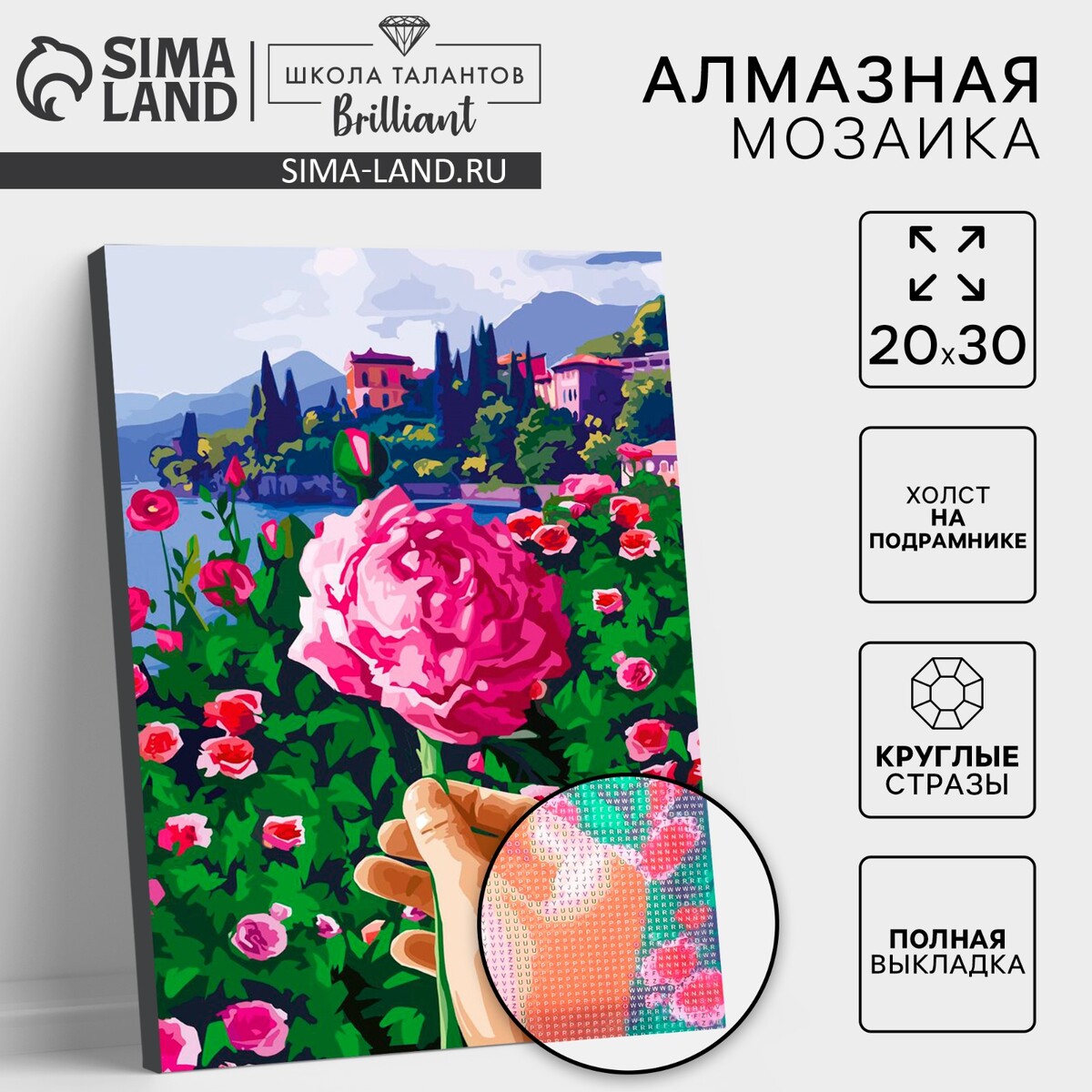 

Алмазная мозаика с полным заполнением на подрамнике, Разноцветный