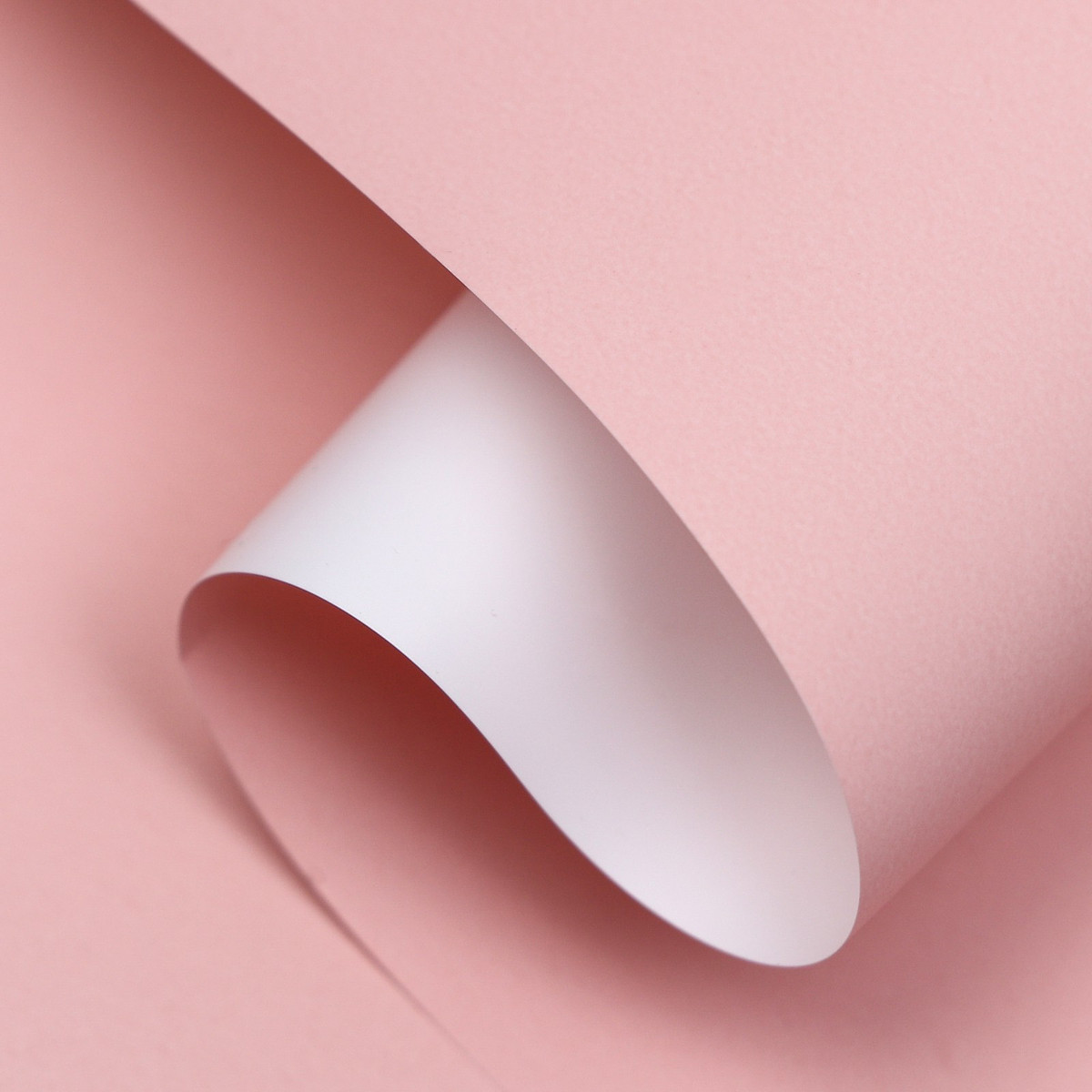 

Пленка матовая для цветов и букетов, розовая, 0.58×10 м, Бежевый;белый