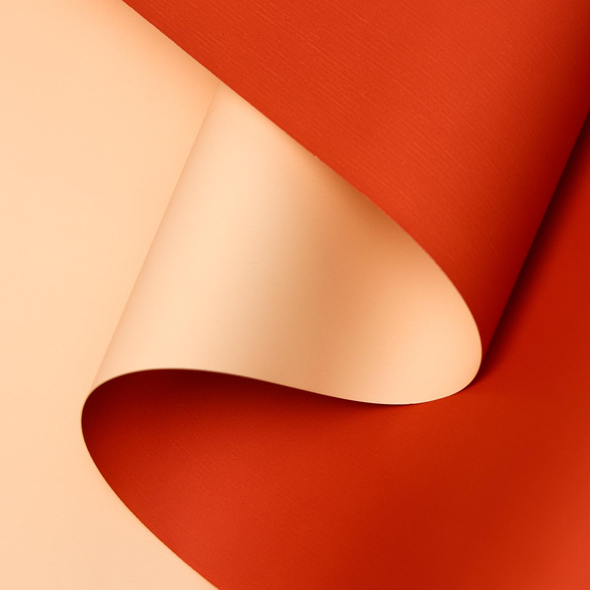 

Пленка матовая для цветов и букетов, бежевый, красный, 0.58×10 м, Красный;бежевый