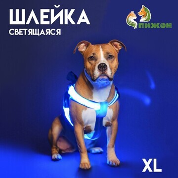 Шлейка светящаяся размер xl, стропа 2,5 