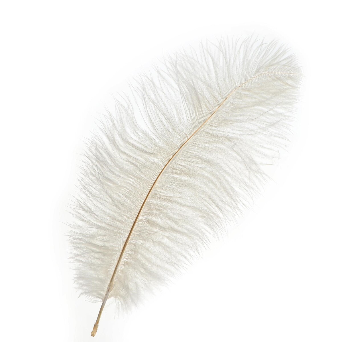 Перо для декора, размер: 30-35 см, цвет белый перо страуса 25 30 см белый