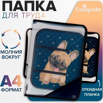 Папка для труда а4, 325 х 230 х 25 мм, м