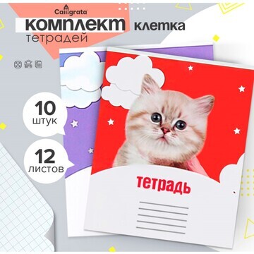 Комплект тетрадей из 10 штук, 12 листов 