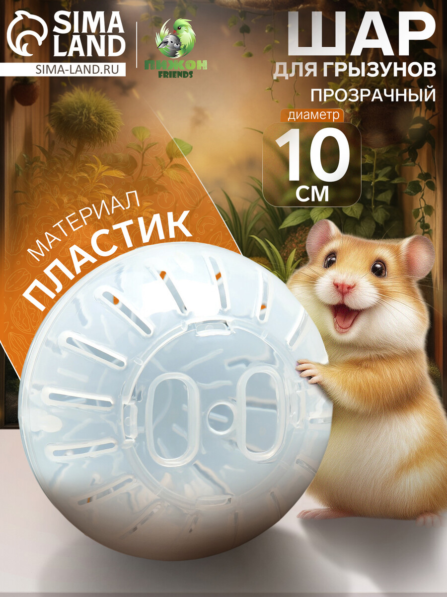 

Шар для грызунов 10 см, прозрачный