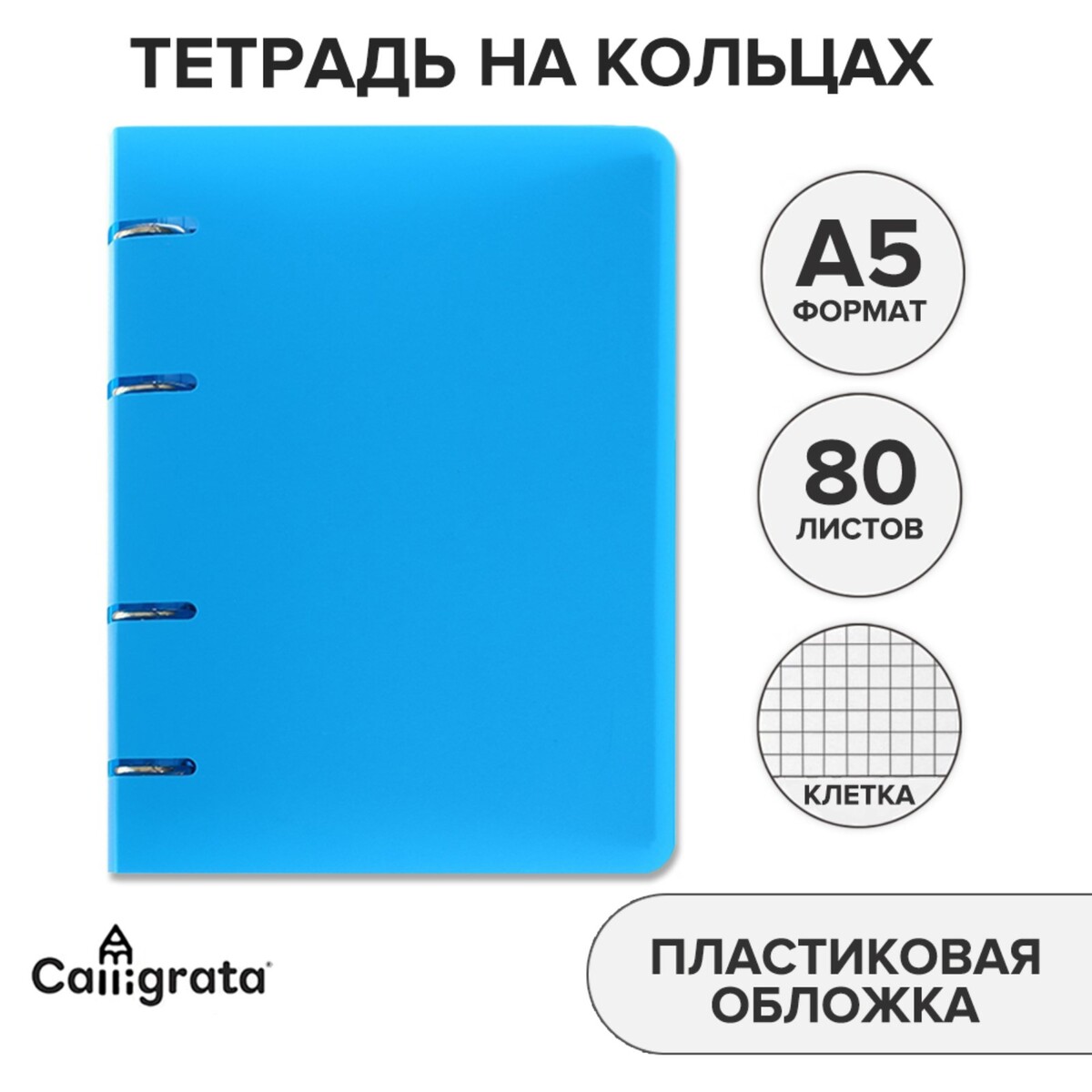 фото Тетрадь на кольцах а5 calligrata, в клетку, 80 листов, пластиковая обложка, блок офсет, голубая