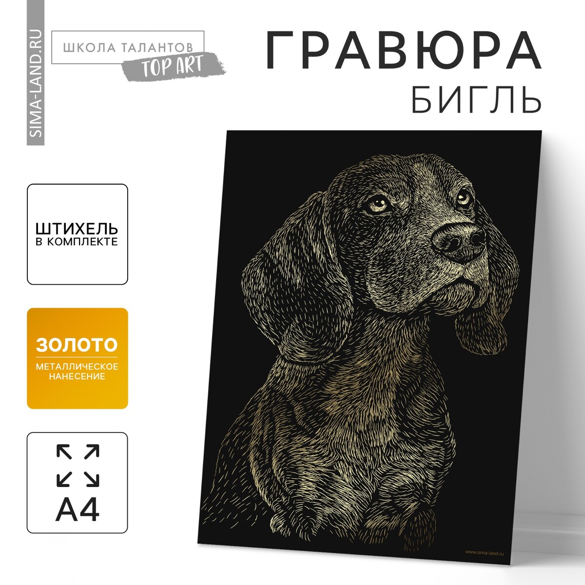 

Гравюра
