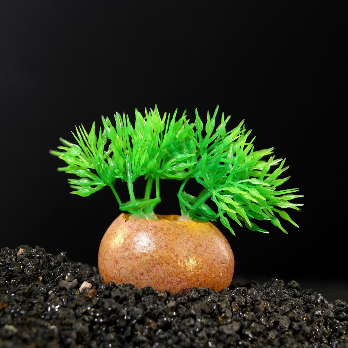 Растение искусственное аквариумное на камне, 5 x 4 x 7 см Пижон Аква