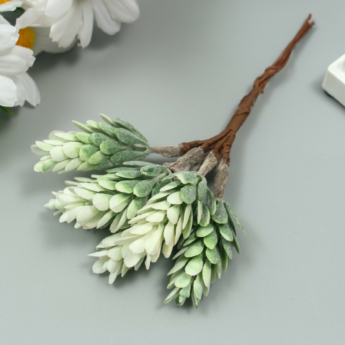 Искусственный суккулент для создания флорариума иней искусственный клеевой для декора