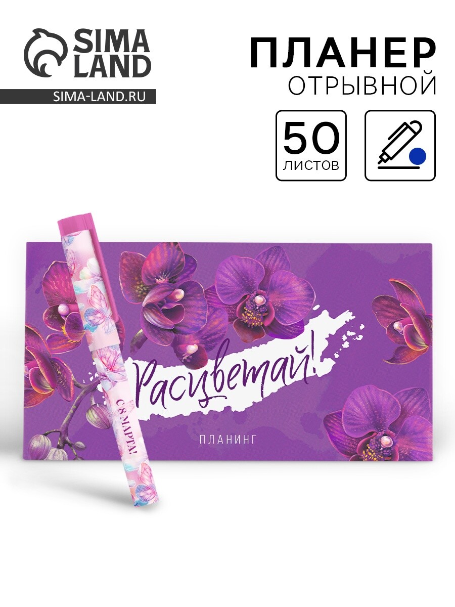 

Подарочный набор, планер, ручка пластик, Разноцветный