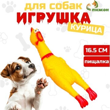 Игрушка пищащая Пижон