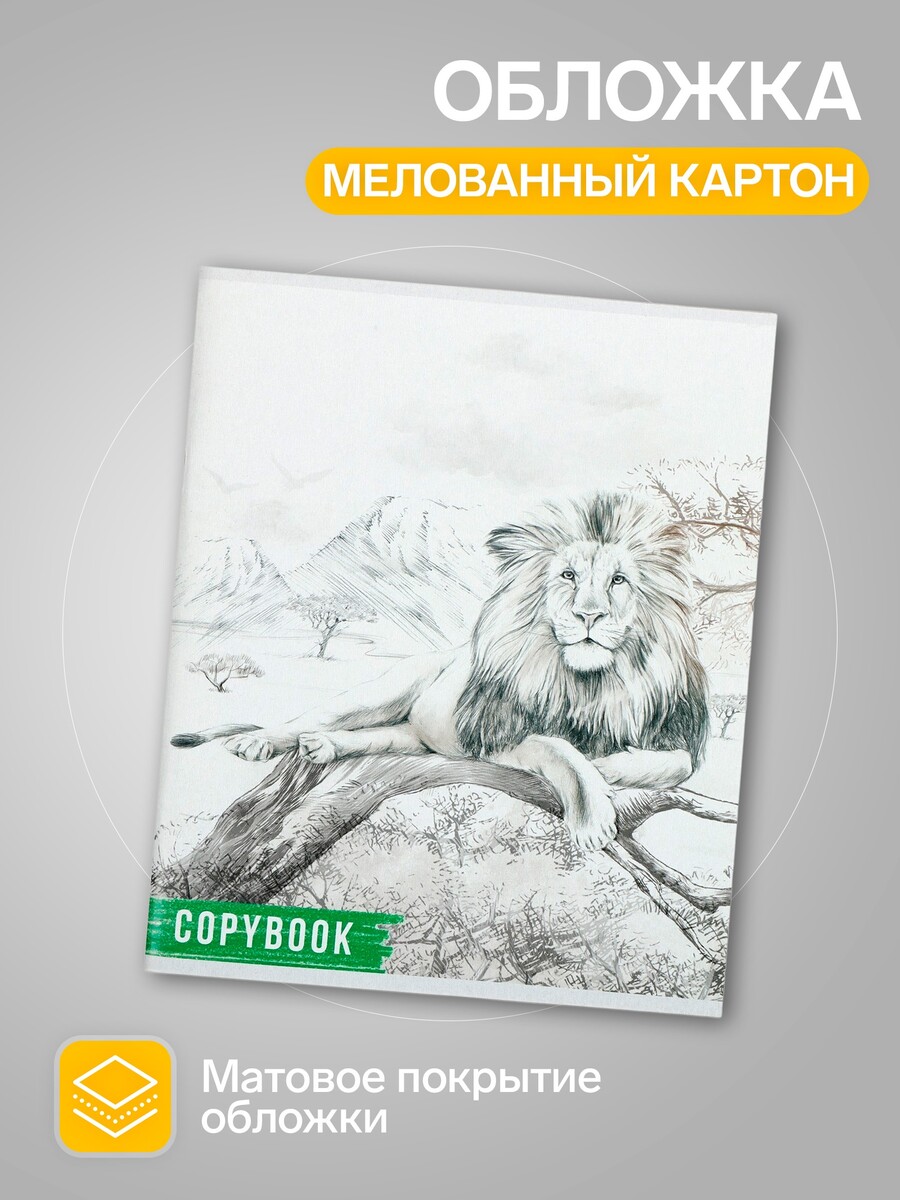 

Комплект тетрадей из 4 штук, 96 листов в клетку calligrata, Разноцветный