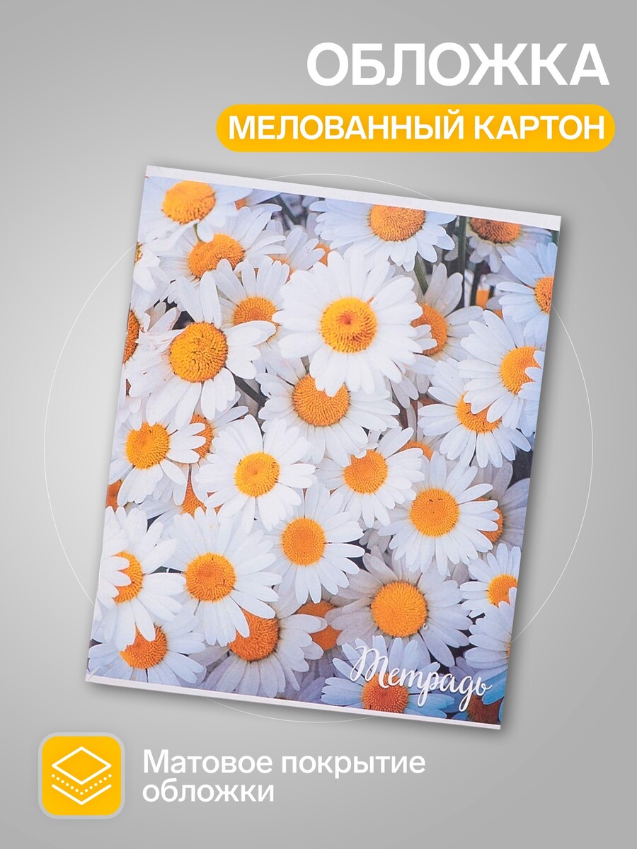

Набор тетрадей, 96 листов в клетку calligrata, Разноцветный