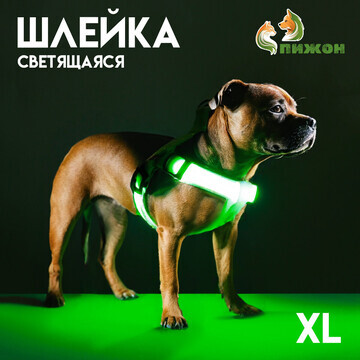 Шлейка светящаяся размер xl, стропа 2,5 