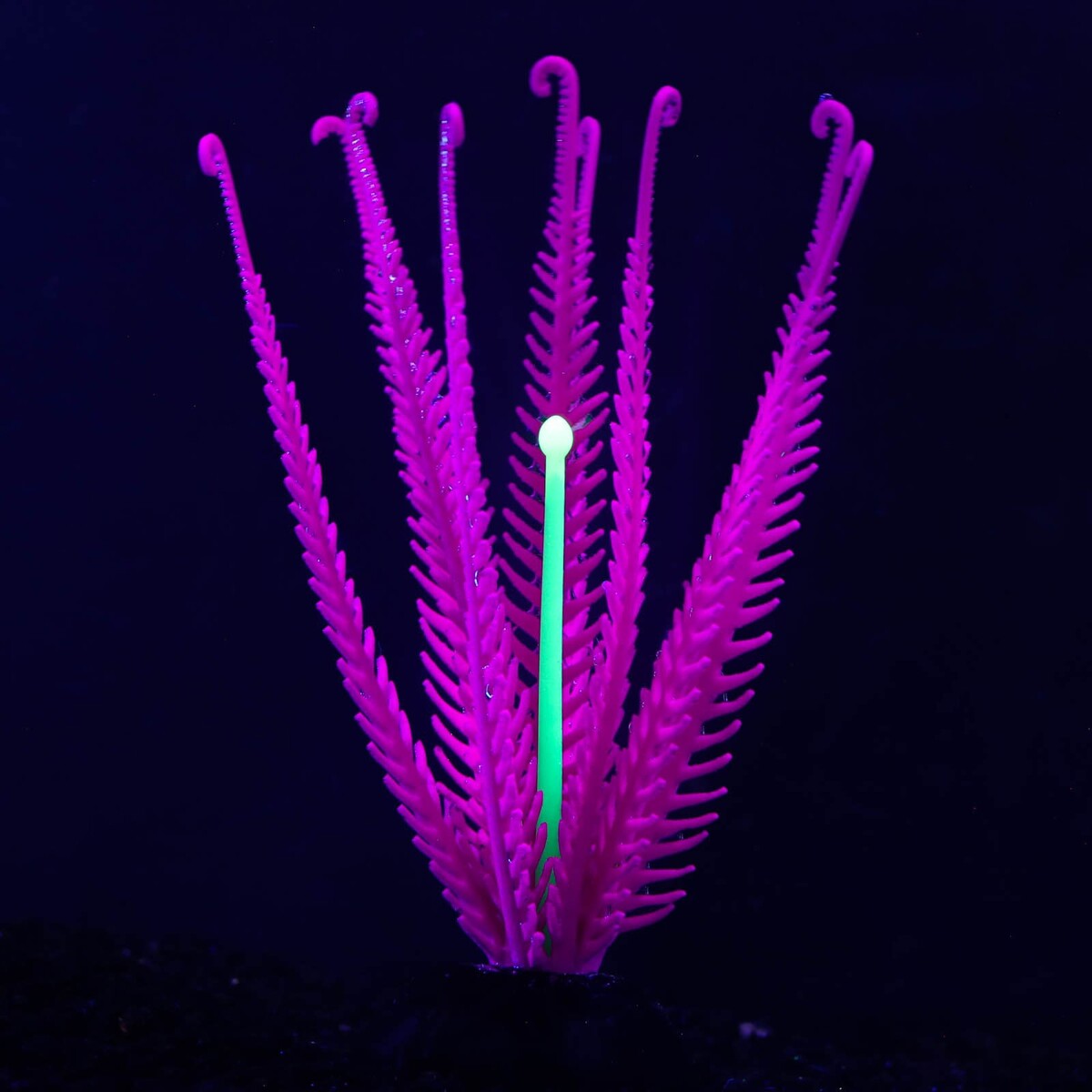 Растение силиконовое аквариумное, светящееся в темноте, 9 х 14 см, фиолетовое No brand 01059180 - фото 2