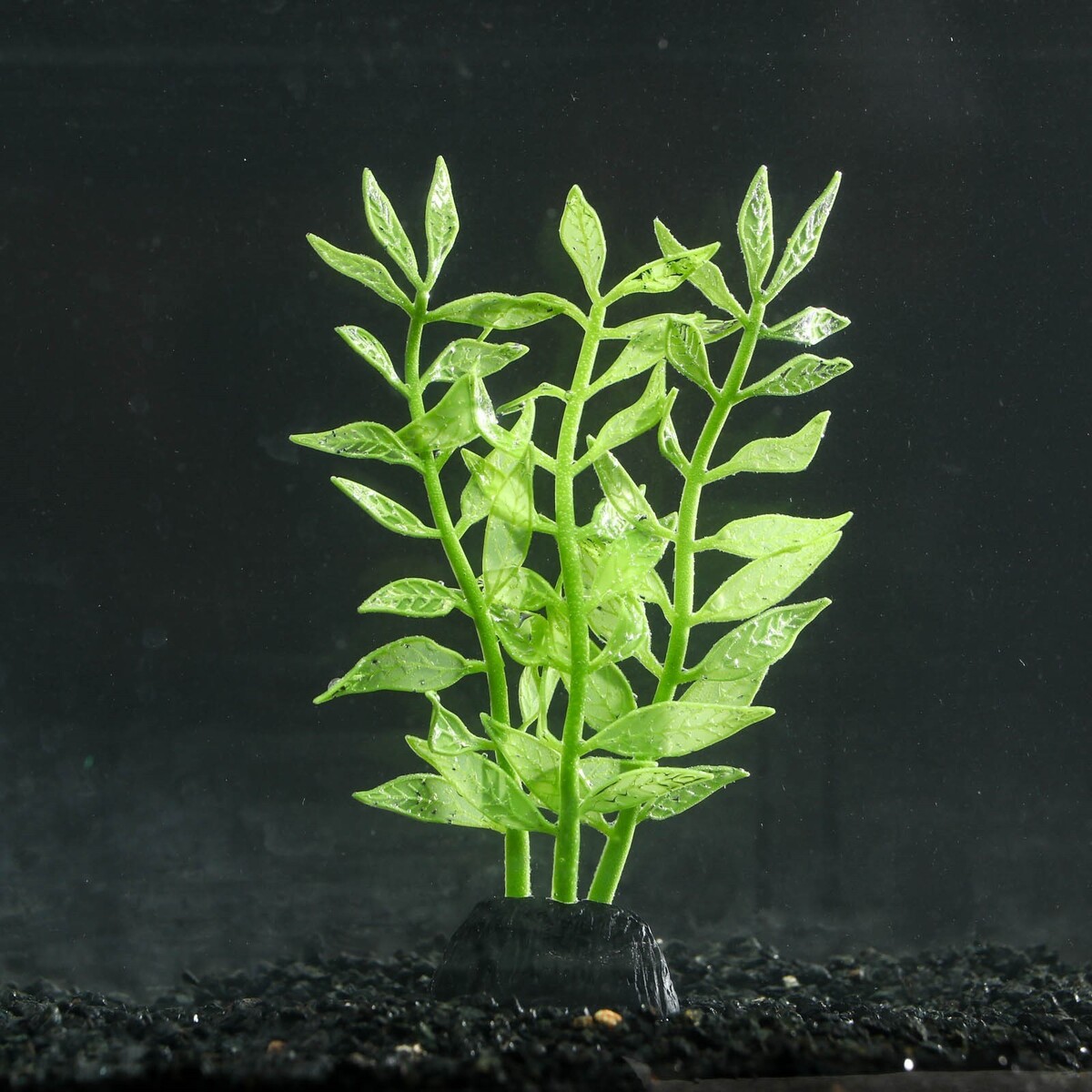 Растение силиконовое аквариумное, светящееся в темноте, 8 х 15 см, зелёное No brand 01059181 - фото 1