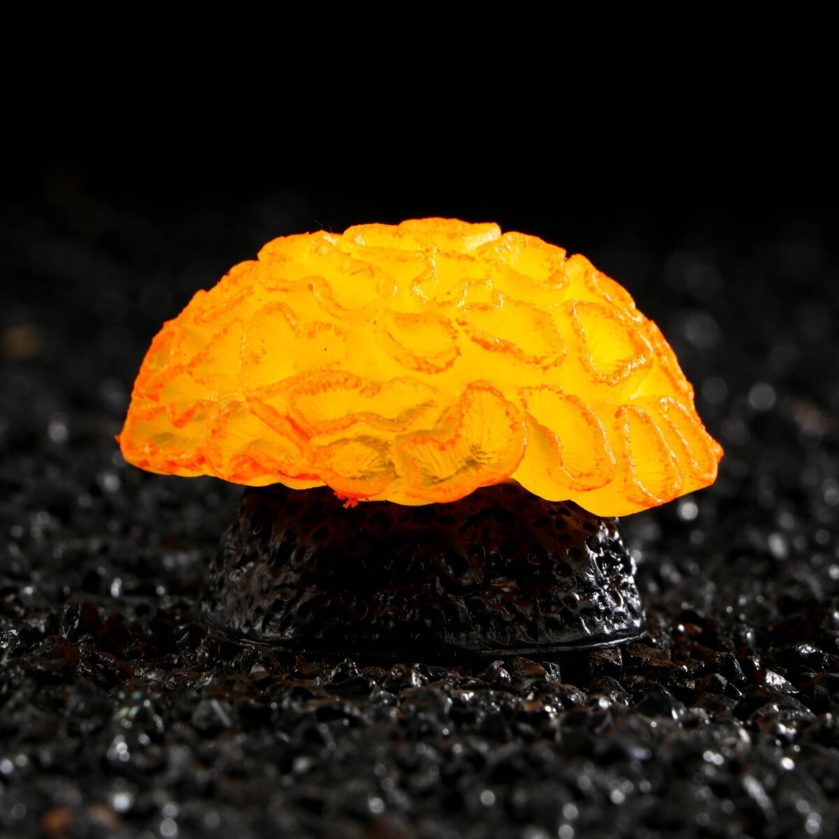 Декор для аквариума коралл faviidae, 5 х 2,5 см, силиконовый, оранжевый декор для аквариума коралл