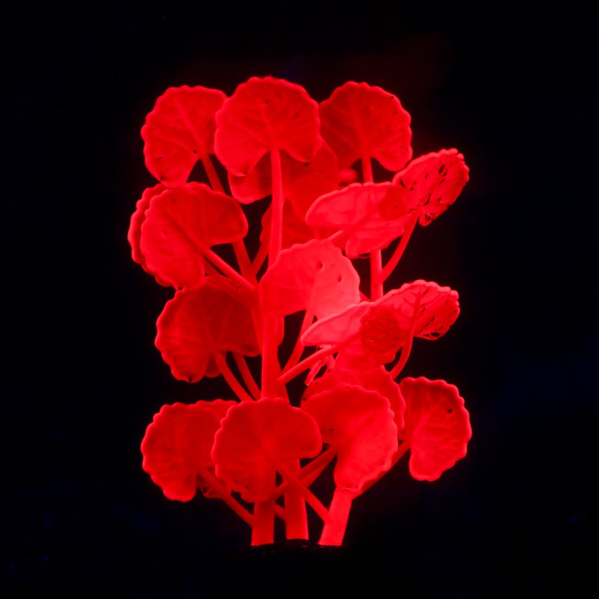 Растение силиконовое аквариумное, светящееся в темноте, 7 х 11 см, розовое No brand 01059209 - фото 2