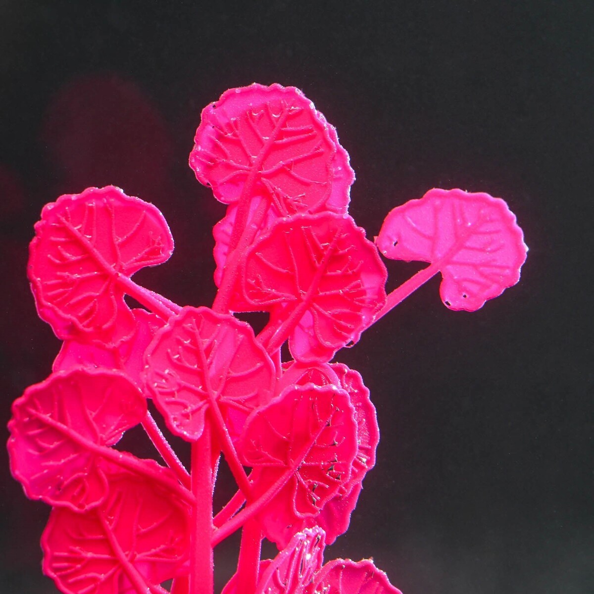 Растение силиконовое аквариумное, светящееся в темноте, 7 х 11 см, розовое No brand 01059209 - фото 3