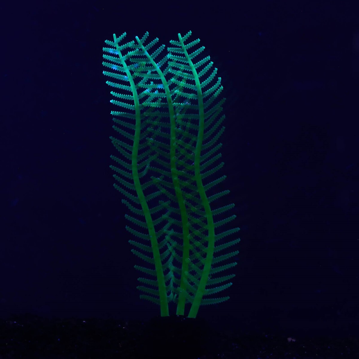 Растение силиконовое аквариумное, светящееся в темноте, 4,5 х 15 см, зелёное No brand 01059214 - фото 2