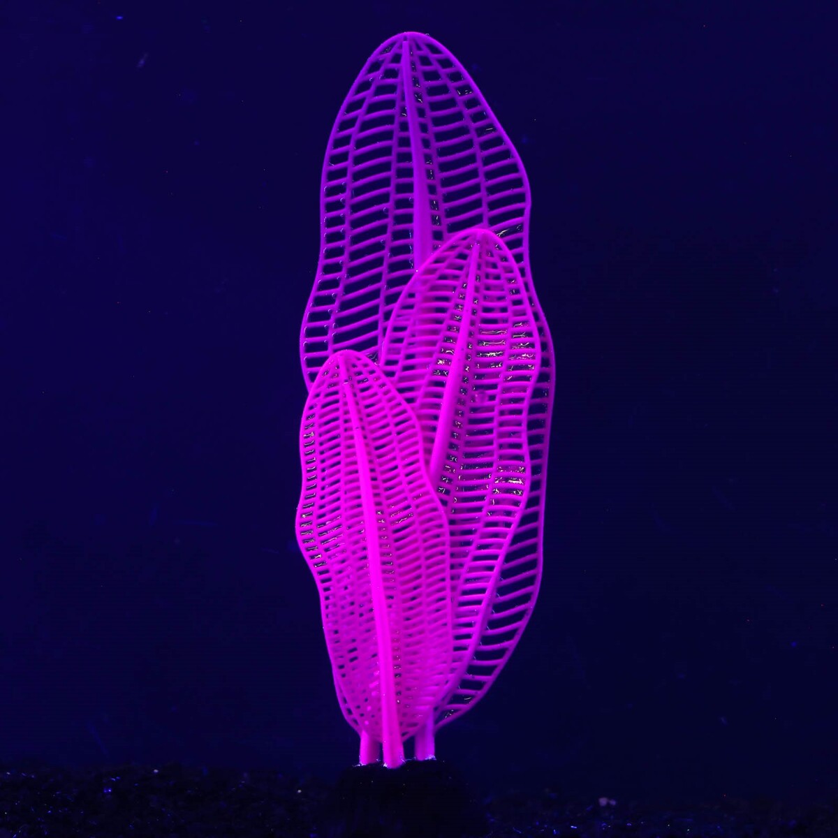 Растение силиконовое аквариумное, светящееся в темноте, 6 х 19 см, фиолетовое No brand 01059216 - фото 2