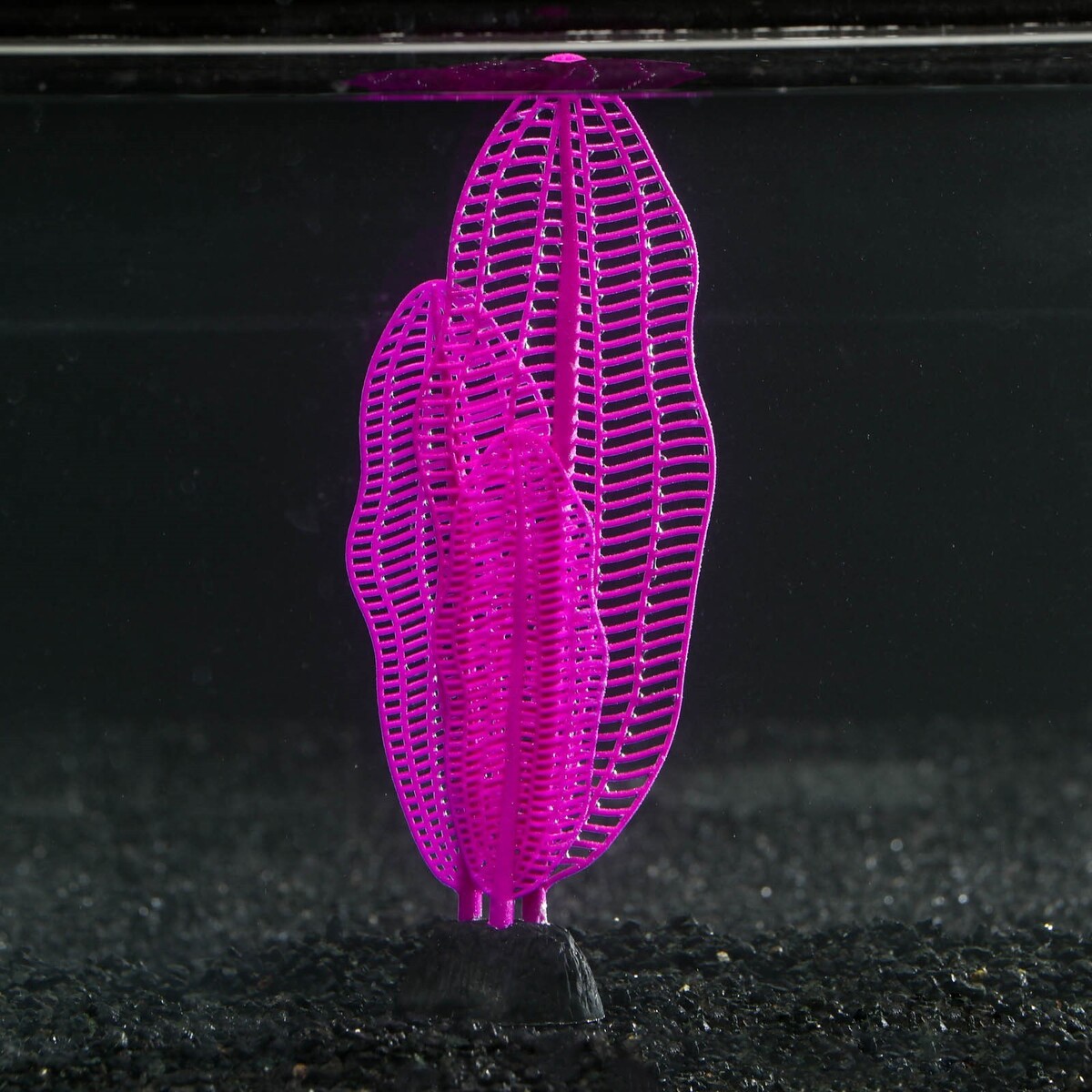 Растение силиконовое аквариумное, светящееся в темноте, 6 х 19 см, фиолетовое No brand 01059216 - фото 1