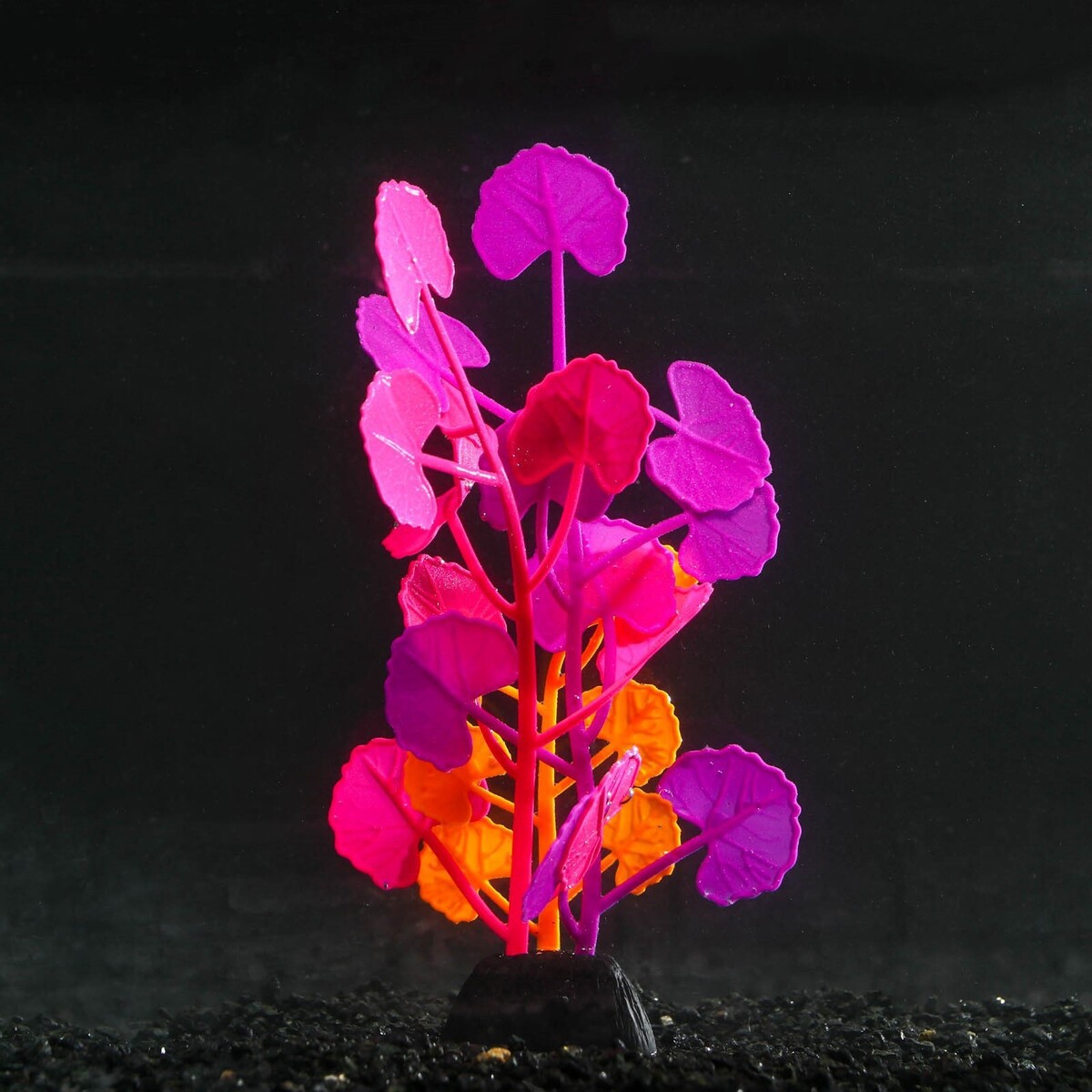 Растение силиконовое аквариумное, светящееся в темноте, 8 х 19 см, разноцветное No brand