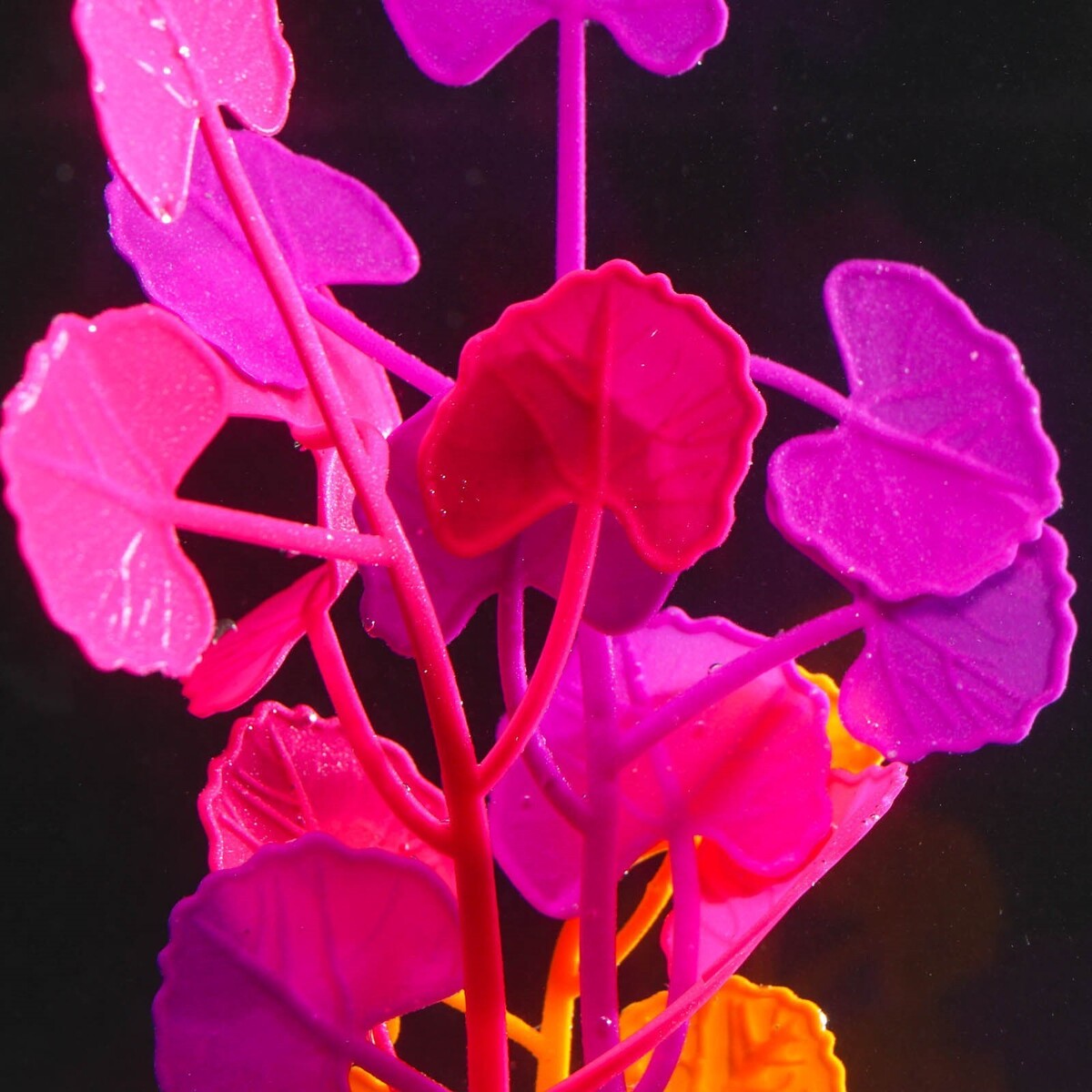 Растение силиконовое аквариумное, светящееся в темноте, 8 х 19 см, разноцветное No brand 01059219 - фото 3